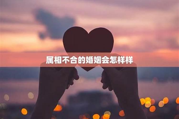 属相不合婚姻怎么样