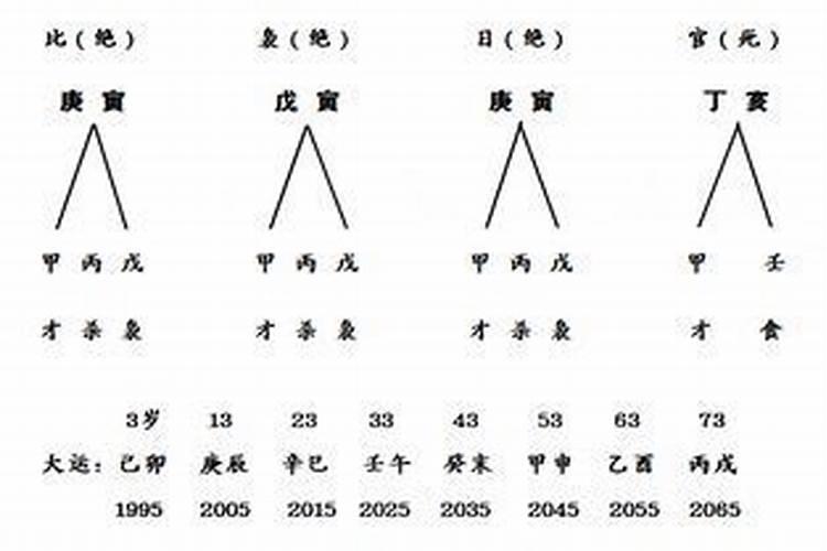 龙龟的摆放示意图