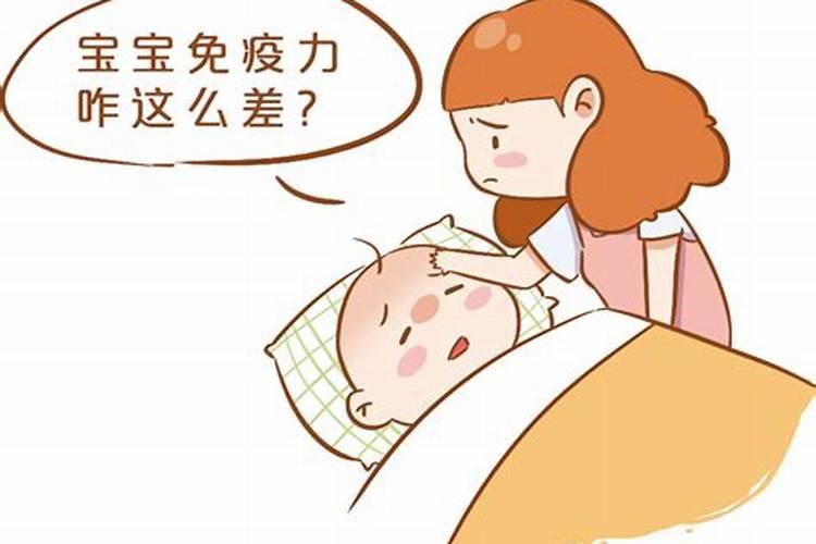 属猪男最珍惜哪种女人呢