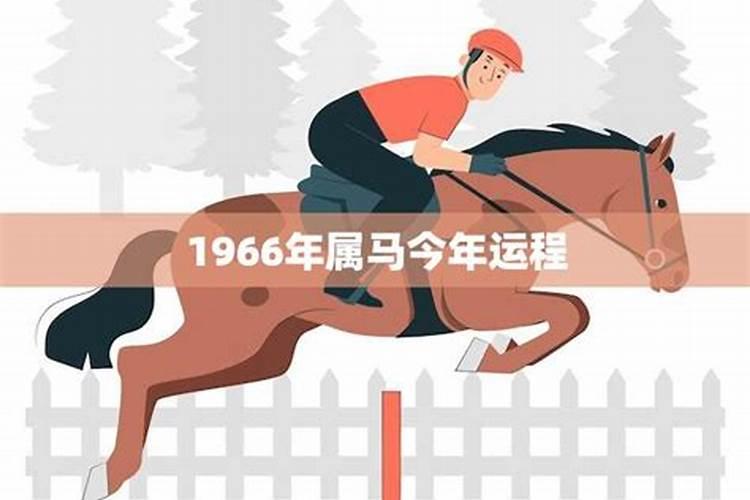 1966年属马的今年运程