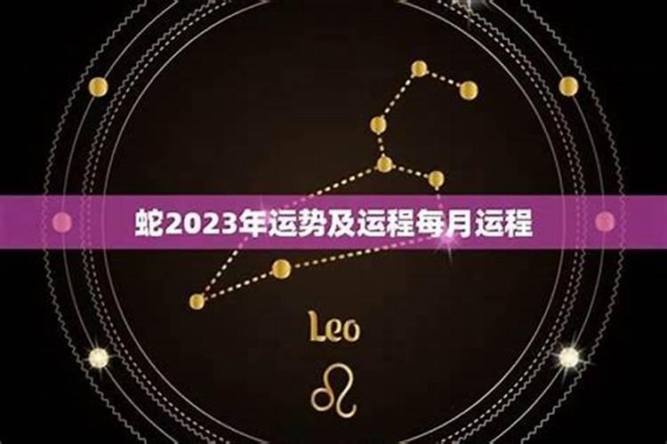 属蛇人在2022年财运如何