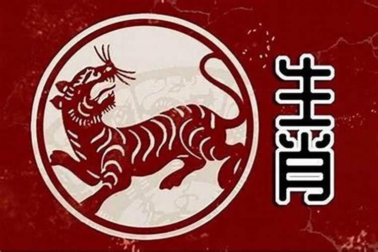 猪今年运势及财运2021