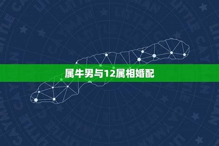 梦见已故老人又死了一次