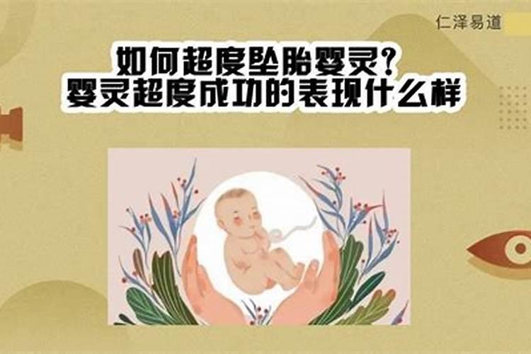 哪个星座适合做老婆