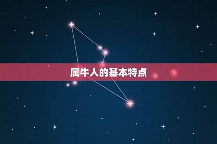 属牛那个星座好