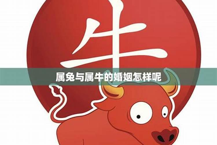 合肥做法事的寺庙在哪里有