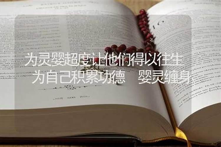 兔在生肖中叫什么名字最好听女孩