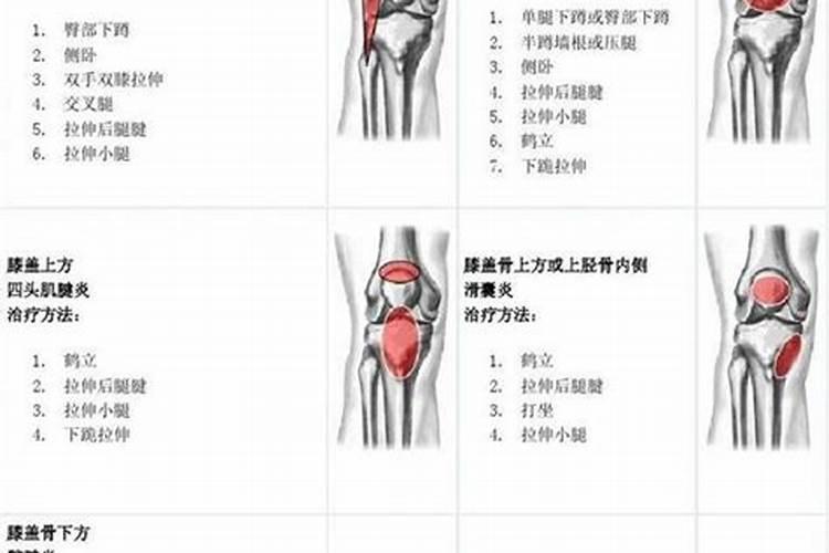 属牛的人对待感情专一吗