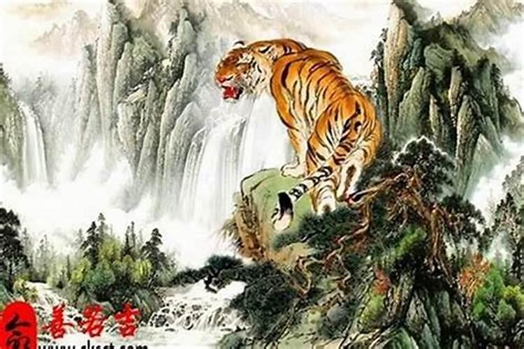 属虎人今年破太岁要起什么福