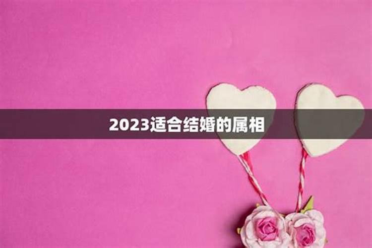 2023年什么属相结婚最好