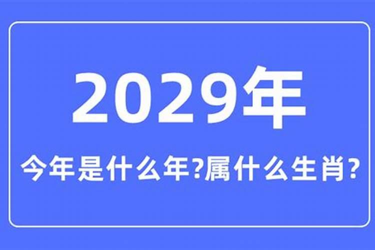 2029年属什么生肖啥命