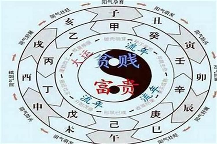 1967年属羊的人什么命运