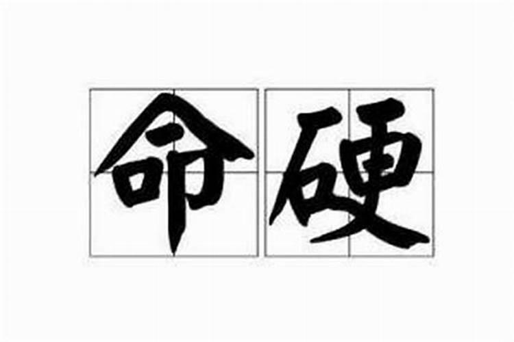 2023年农历9月属兔人运势