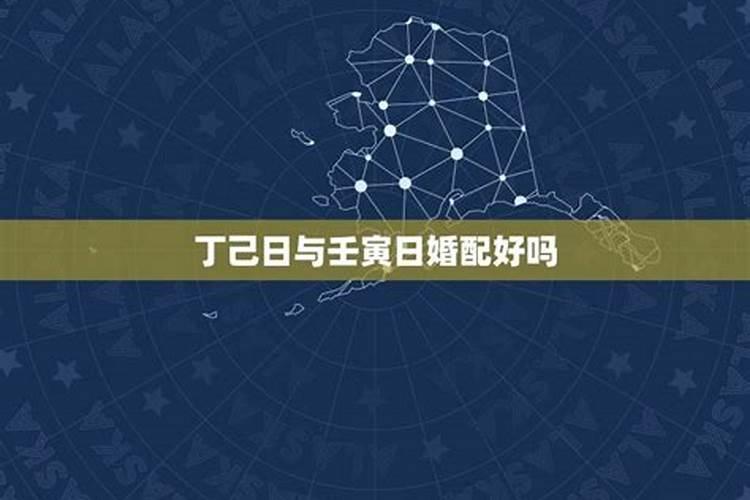 艺在五行属性是什么