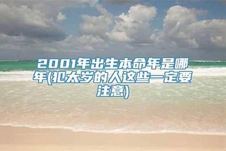 属马20246月份运势如何