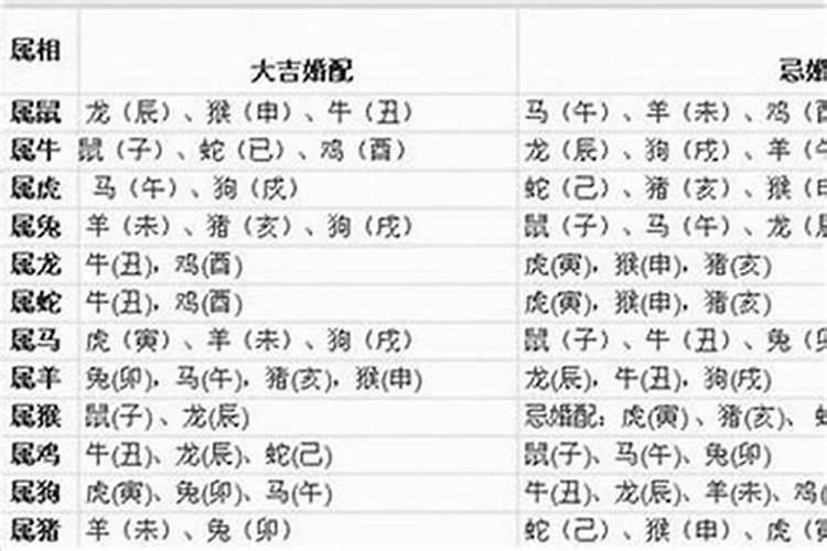 1966年属马到底是什么命格呢