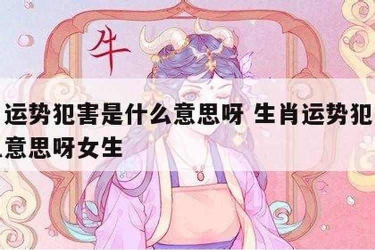 星座和生肖运势哪个更准确一些