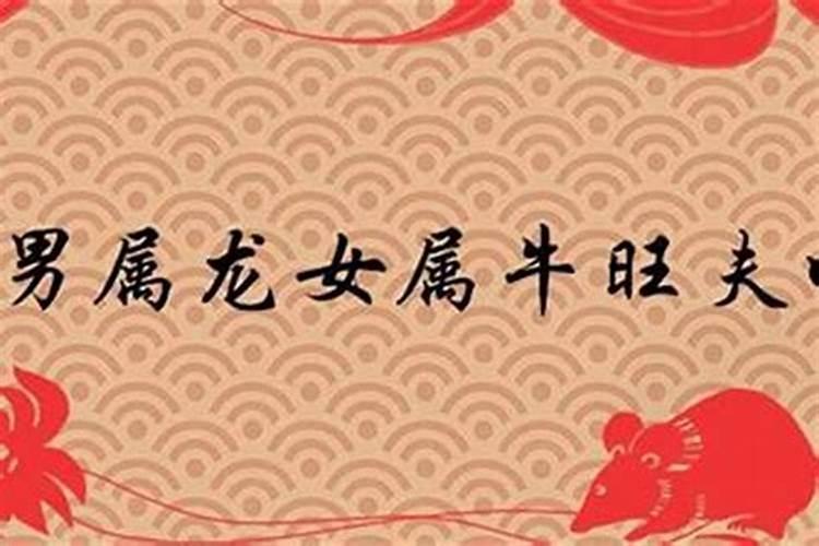 女人梦到狗追我却没咬到我买什么奖票