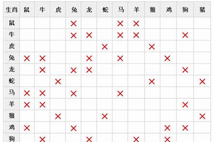 生肖属性相生相克表