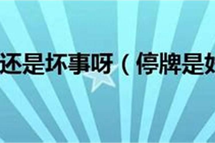 属鼠1973年属牛人2024年运势