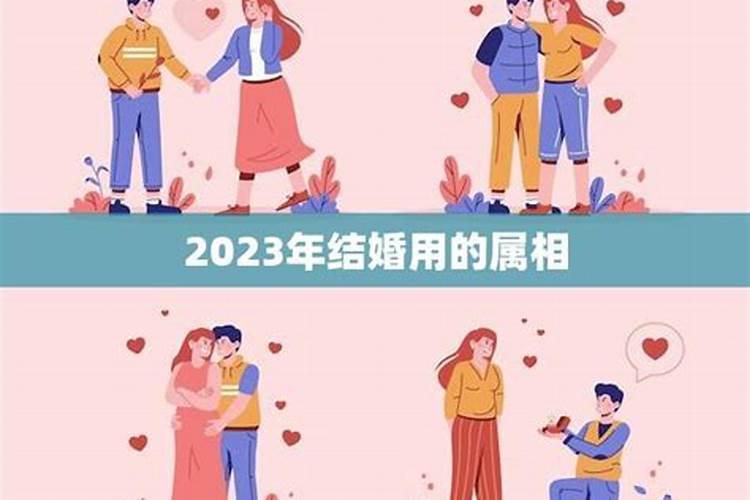 2023年结婚的生肖