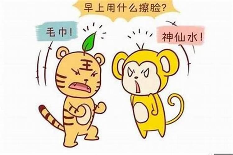 男属虎和男属猪合婚吗