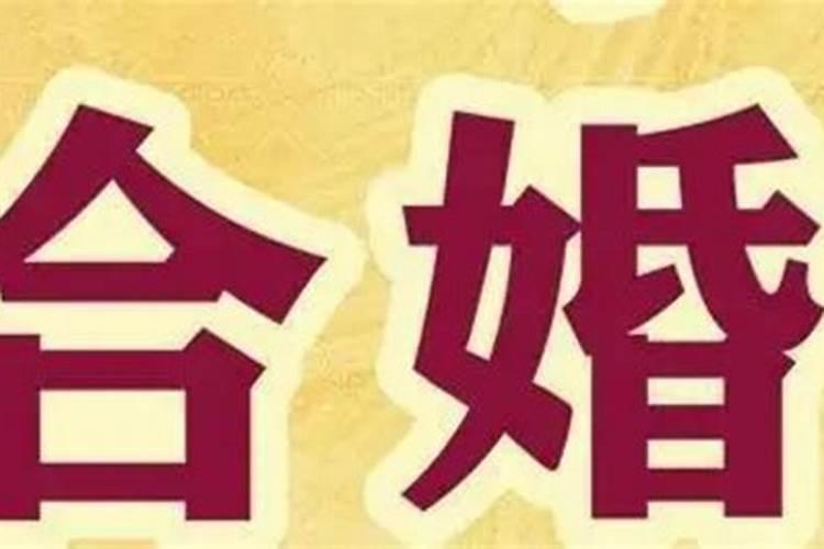 房门对着镜子怎么化解