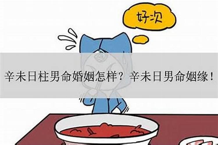 属兔的职业适合什么