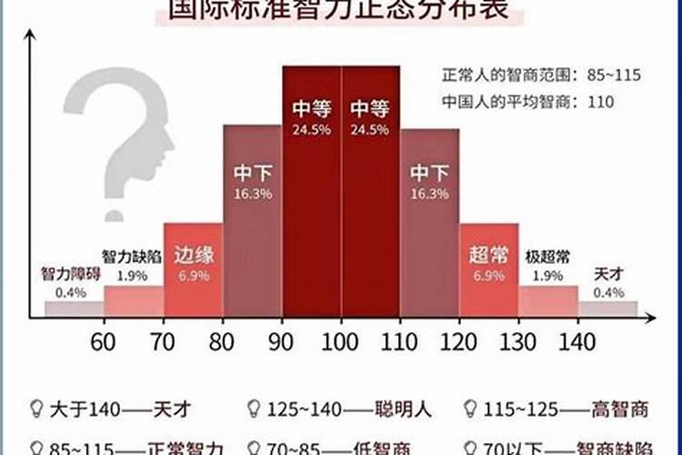 属牛人最佳配偶属相