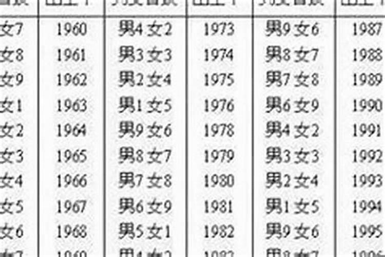 79年五行属什么命缺什么