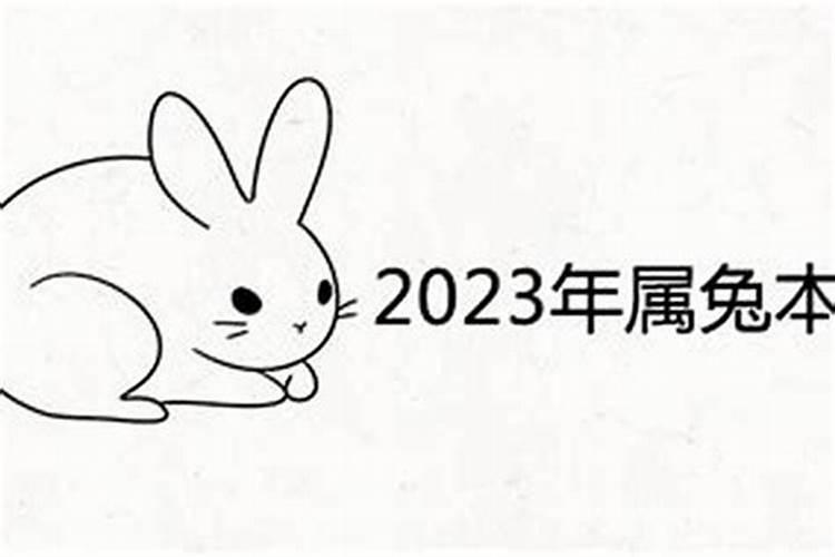 2023年生肖兔年运势