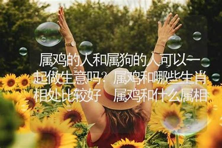 什么属相合伙做生意比较旺财