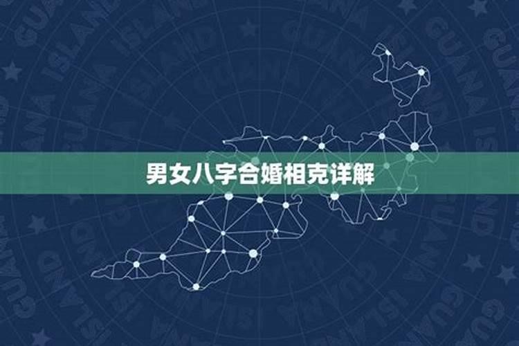 龙和蛇属相合不合财