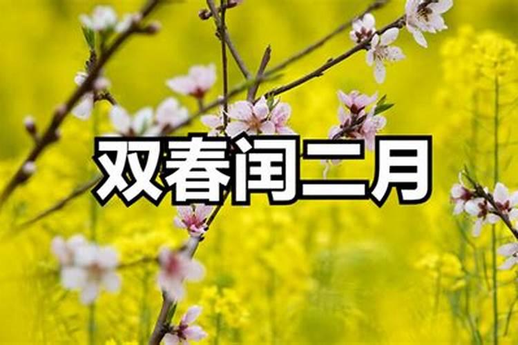 女人梦见蛇一定是胎梦吗