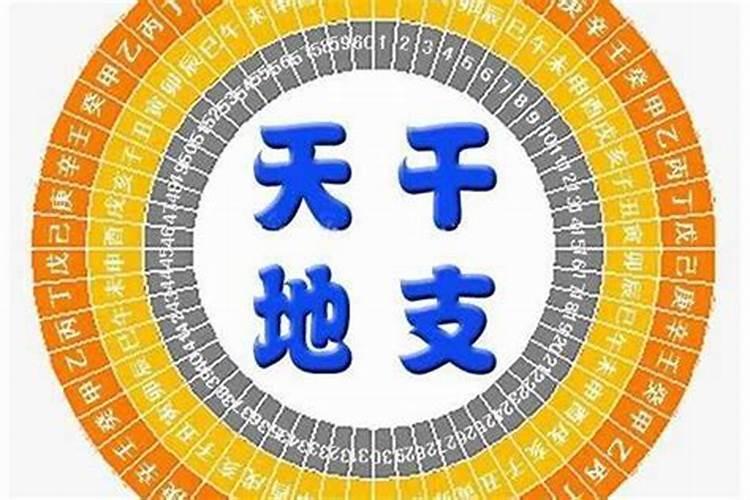 八字互补好还是八字相合好？