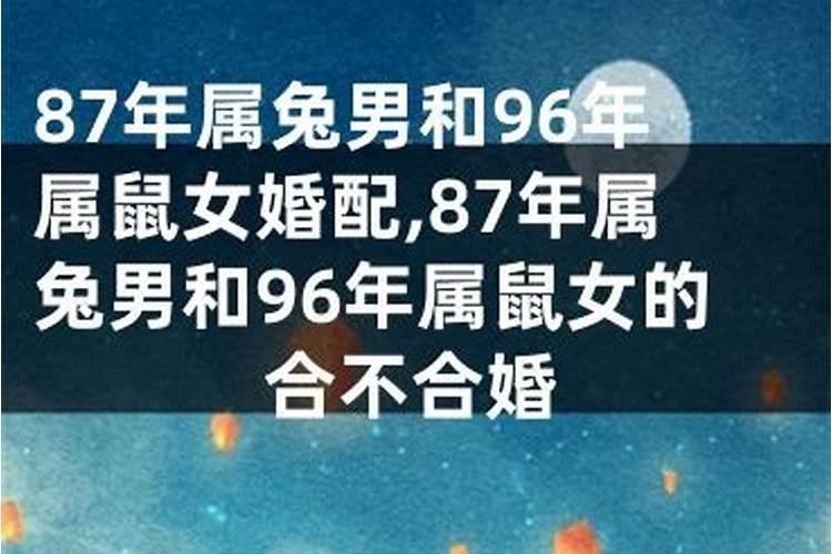 84年鼠女和87年兔男的婚姻怎么样呀