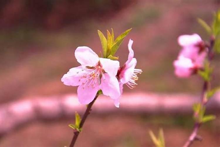 寒衣节北方习俗