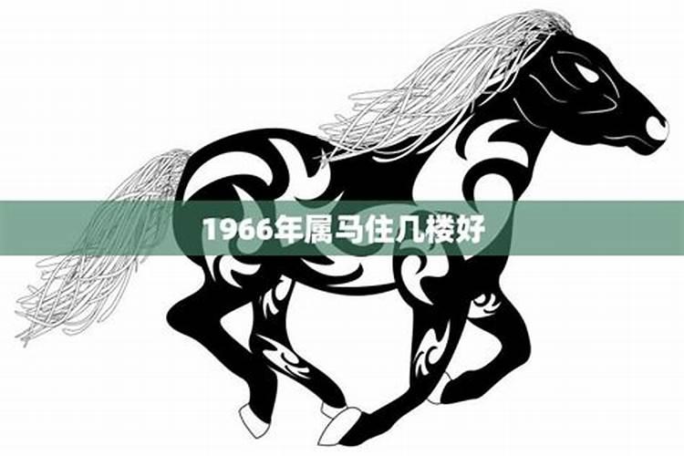 1966年属马的人住几楼最吉利