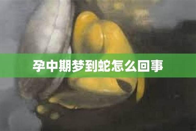 梦见蛇是怀孕的征兆吗刚生小孩四个月还没有来月经