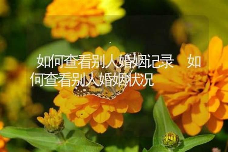 八字排盘中的孤鸾什么意思呀