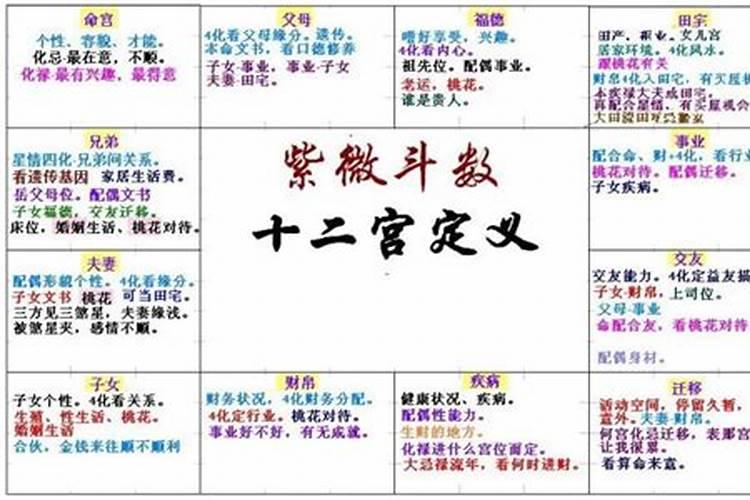 紫薇准还是八字准婚姻