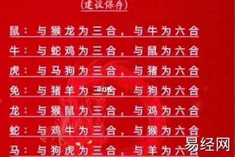 八字生肖属相婚配大全