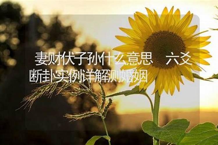 三月十五是什么星座农历生日