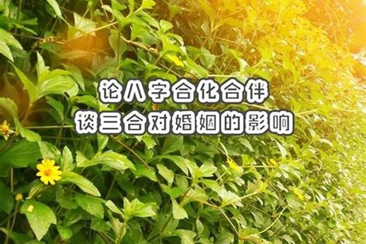 梦见豹子咬我躲过去了什么意思