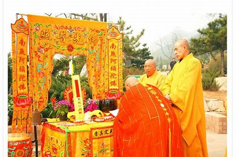 属鸡的遇到什么年头好