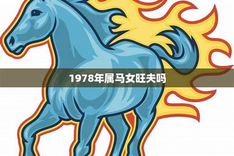 1978年属马女在2021年感情如何