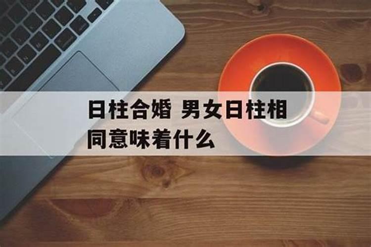 2023年犯太岁的属相有哪些生肖和动物呢