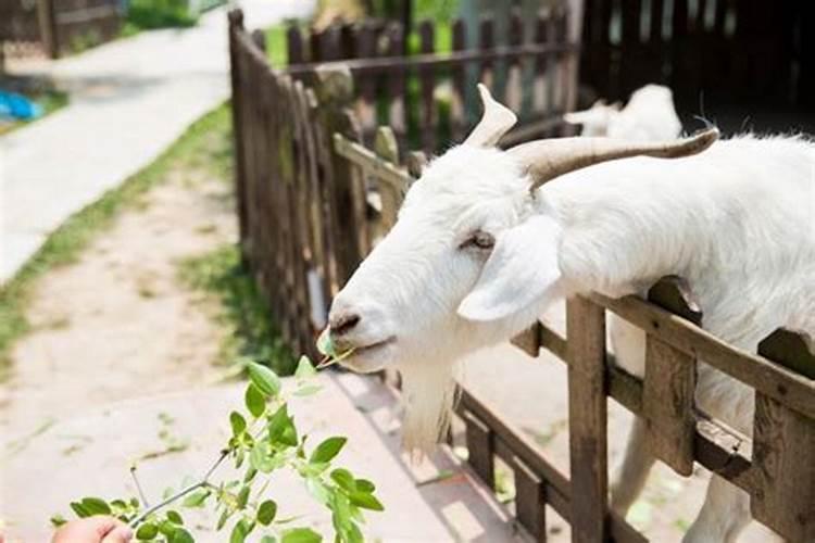 总梦见自己生孩子是怎么回事儿