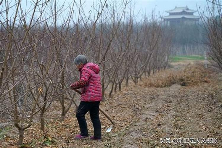 梦到自己夭折的孩子死了