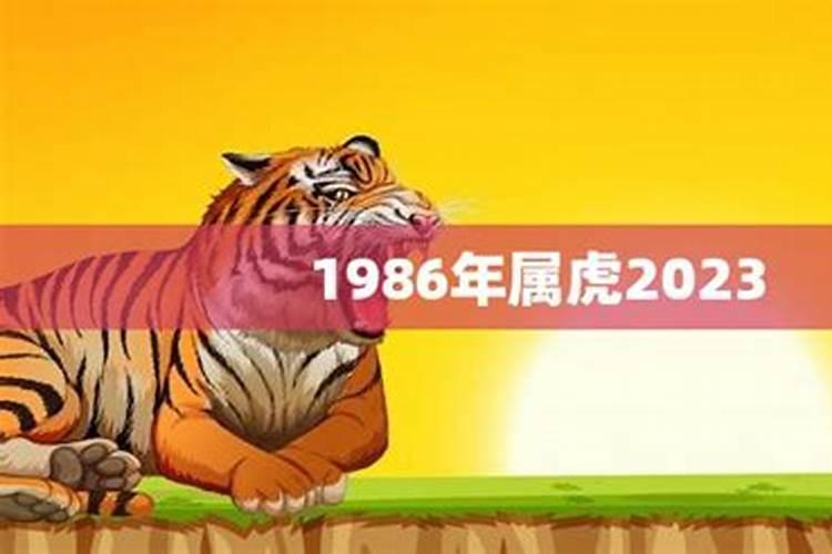 2022年生肖属猪的人全年运势如何看